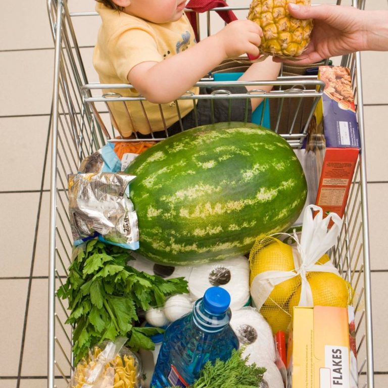 manger BIO alimentation saine végétarienne zero dechet vrac courses enfant parent famille